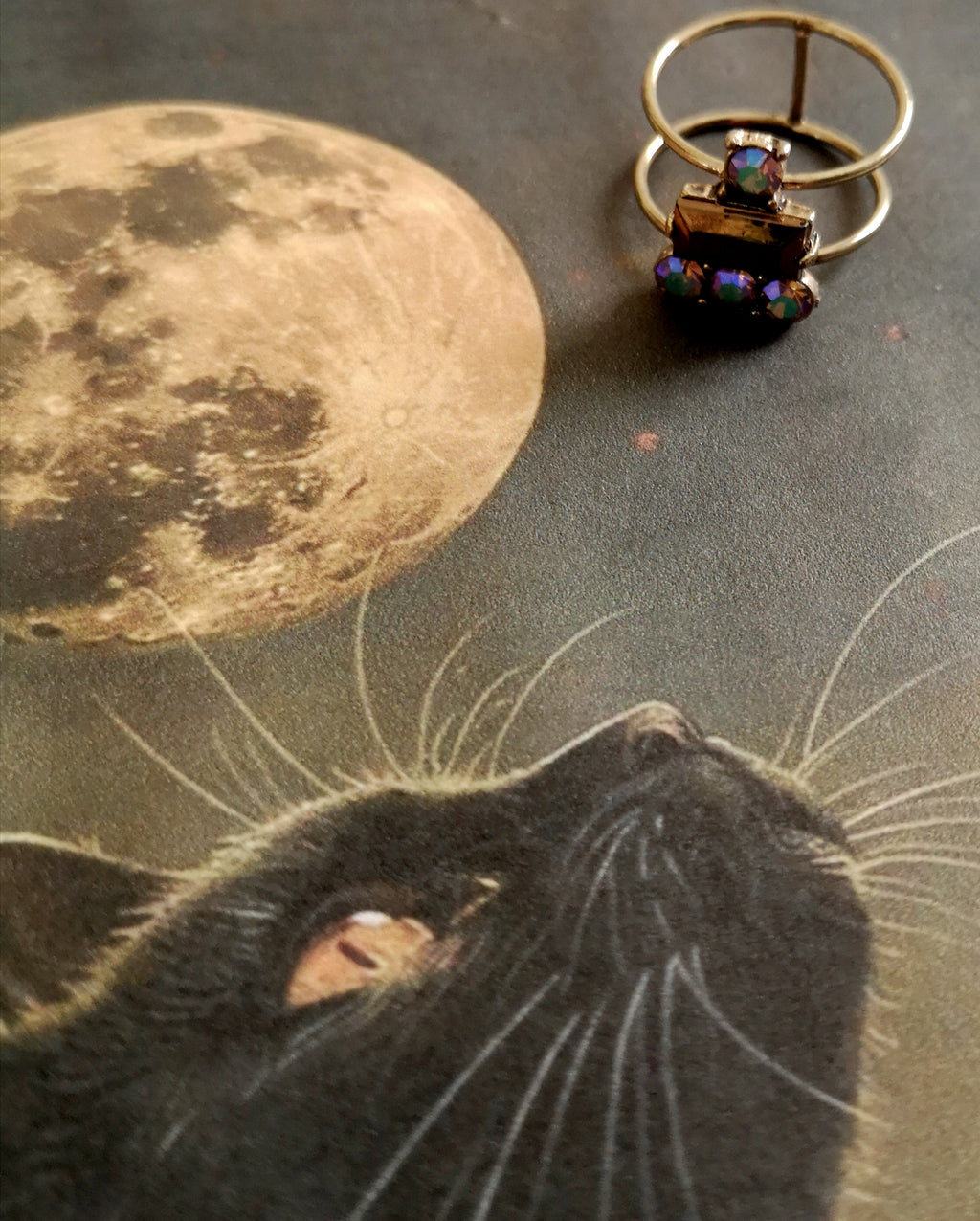Anillo