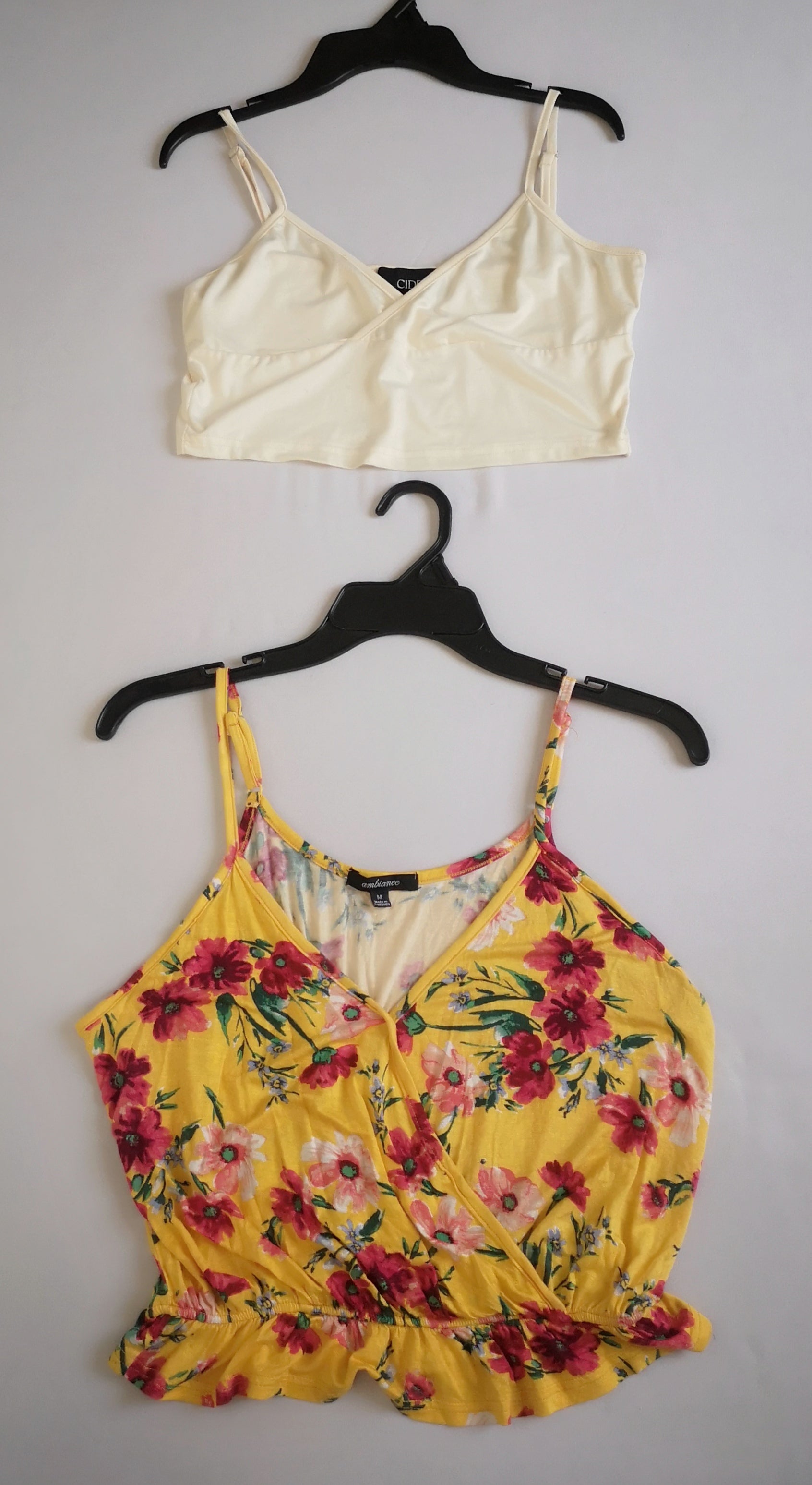 Dúo de blusas